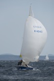 ayesha gbr443r ss18 sat gjmc 4461 w